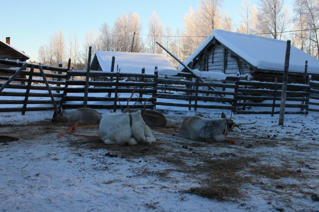 Levi Northern Lights Huts 외부 사진