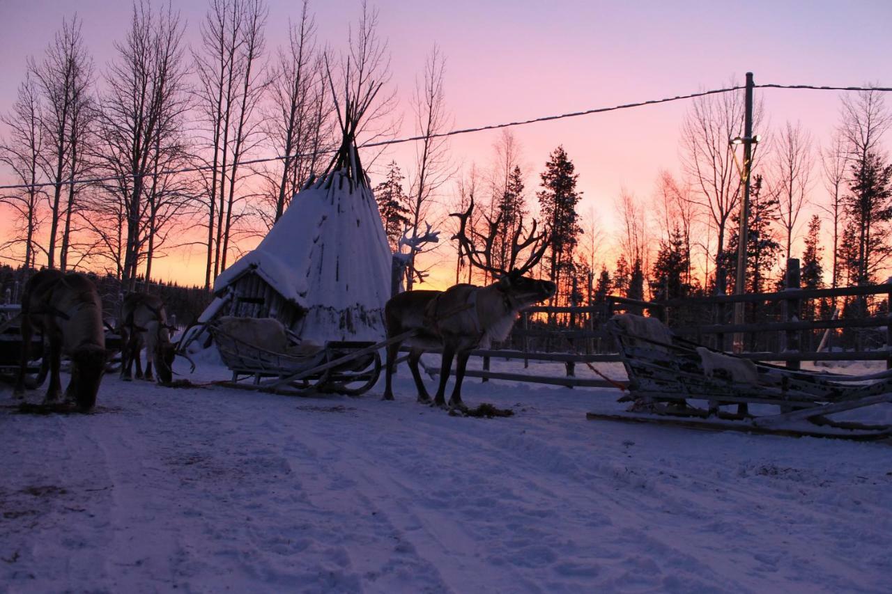 Levi Northern Lights Huts 외부 사진